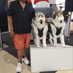 Meet your Posher, Mitchum